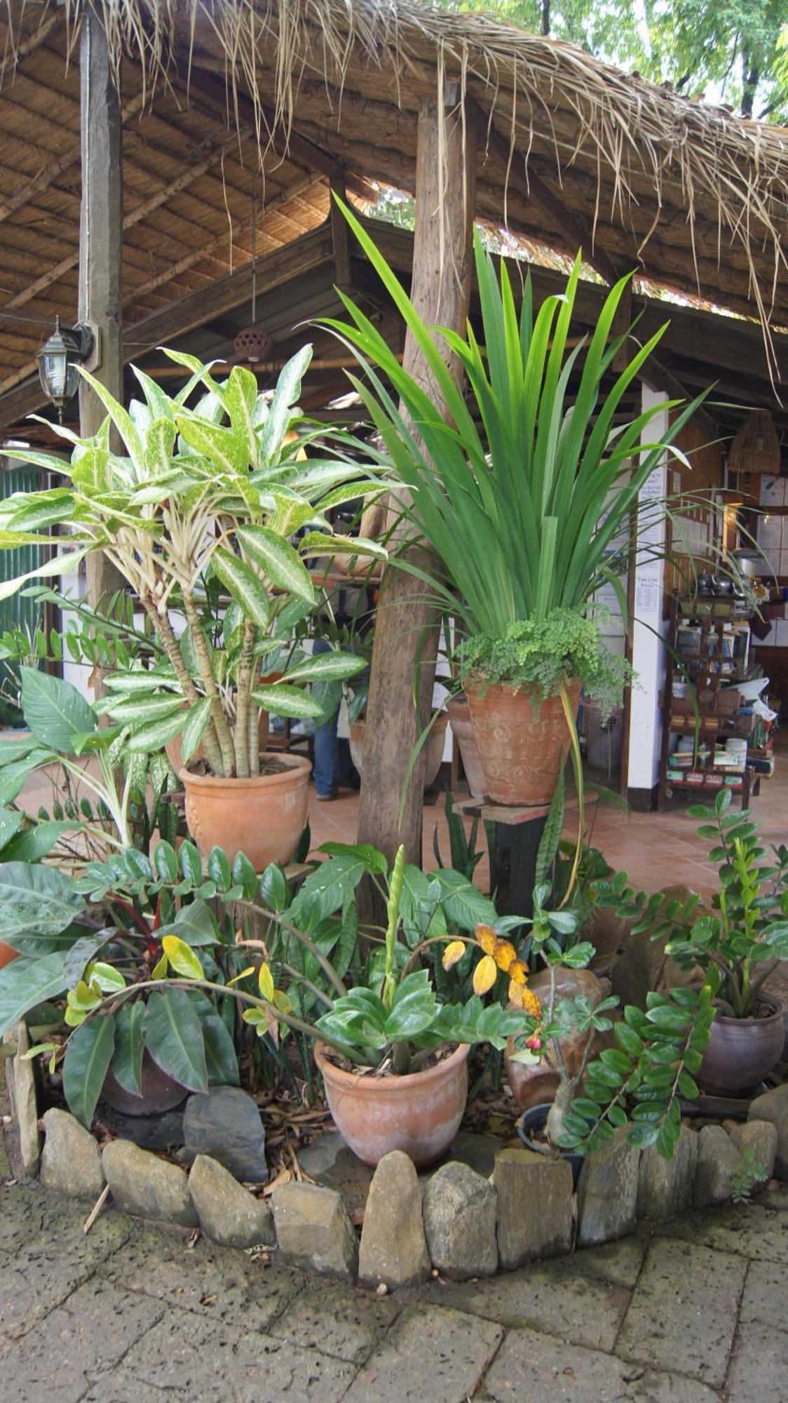 Mut Mee Garden Guest House Nongkhaj Kültér fotó