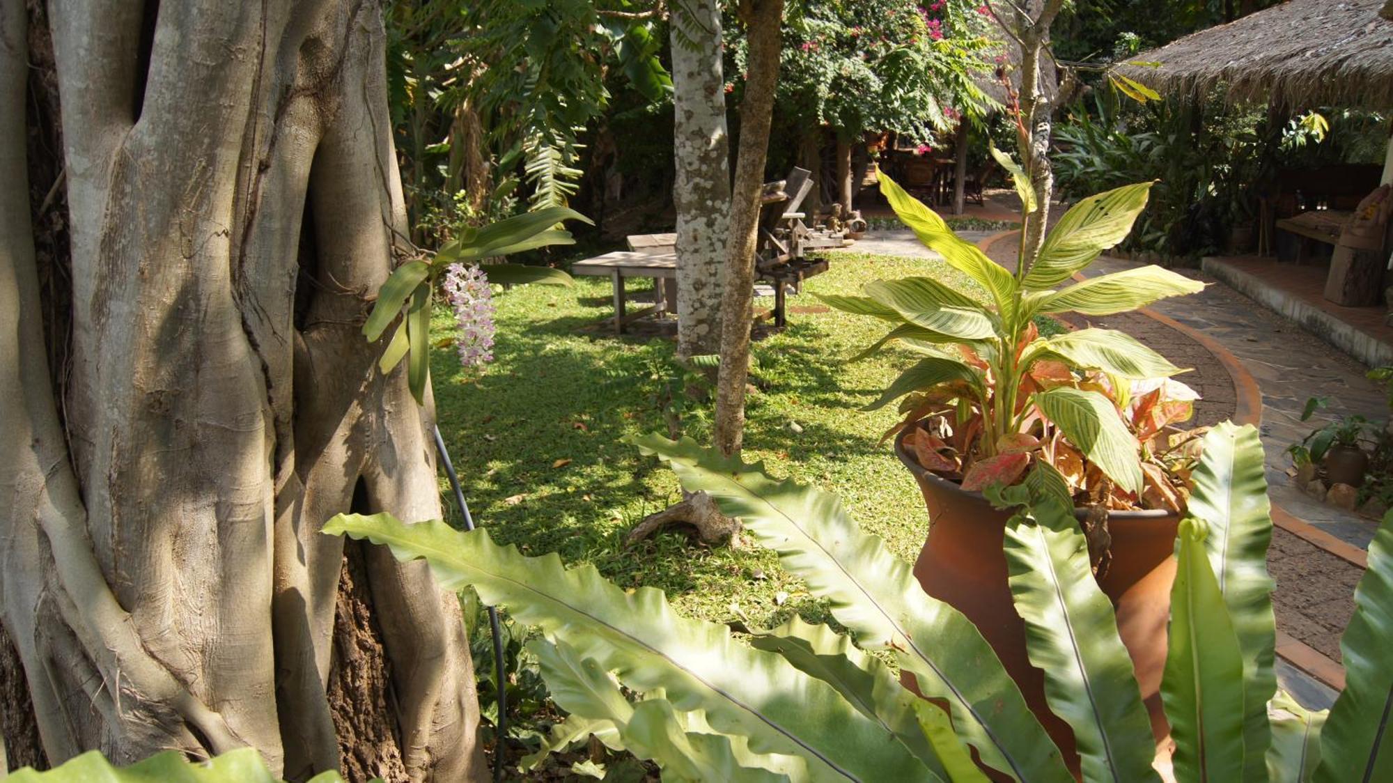 Mut Mee Garden Guest House Nongkhaj Kültér fotó