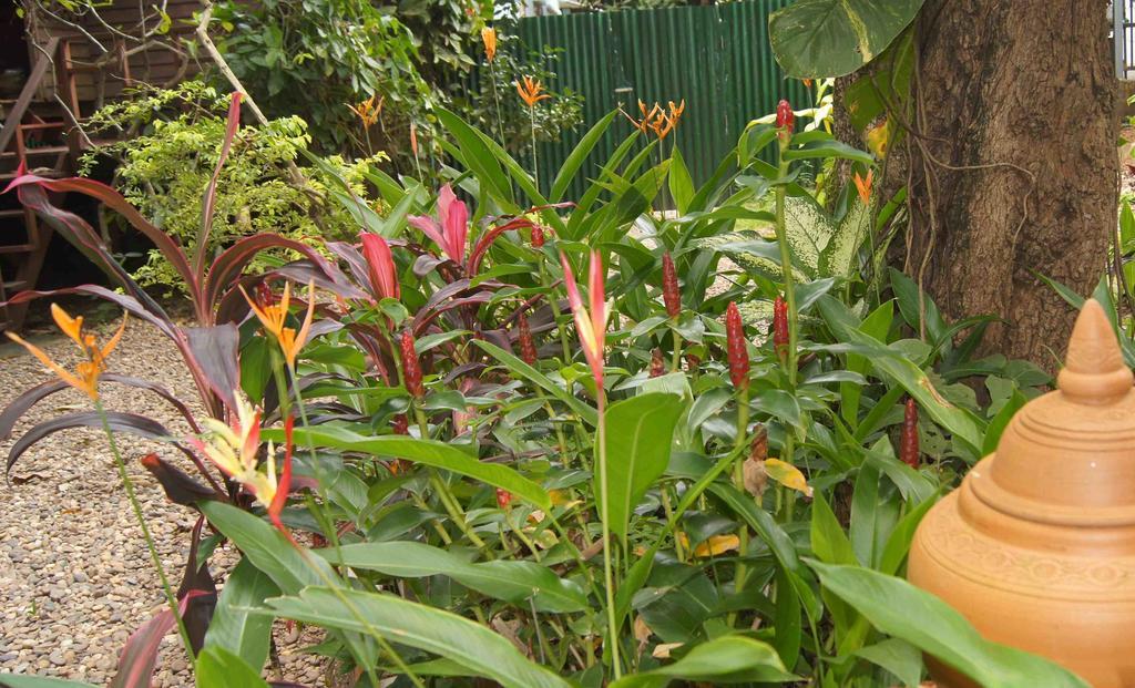 Mut Mee Garden Guest House Nongkhaj Kültér fotó